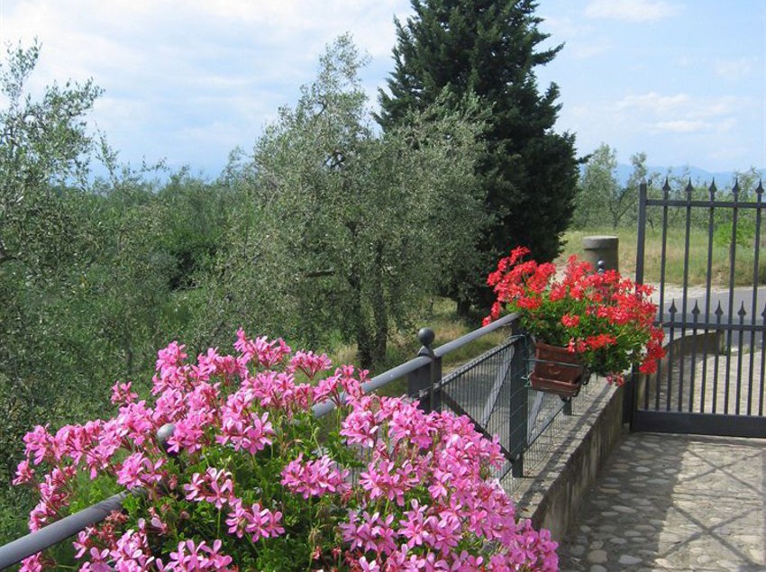 Agriturismo Villani  | Lastra a Signa | Florence | Italia 6