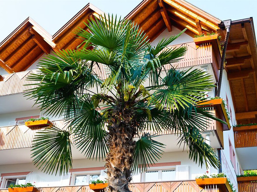 Pension Brunner  | Merano | Bolzano | Italy 10