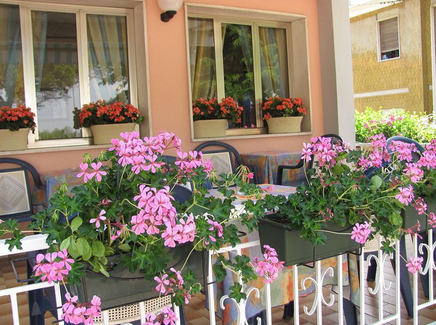 Villa Veneta  | Jesolo | Venezia | Italia 6