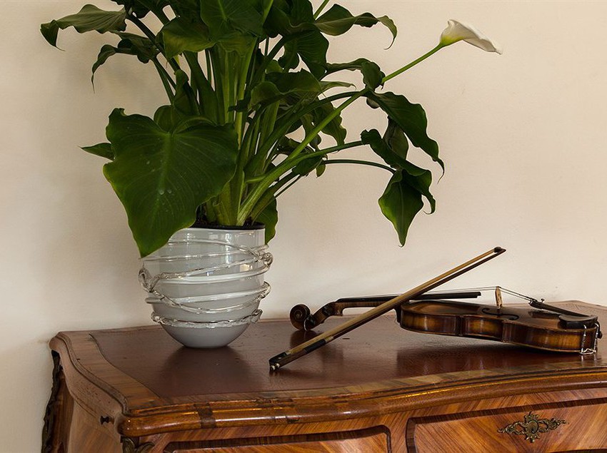 Hotel Benaco  | Garda | Verona | Italia 14