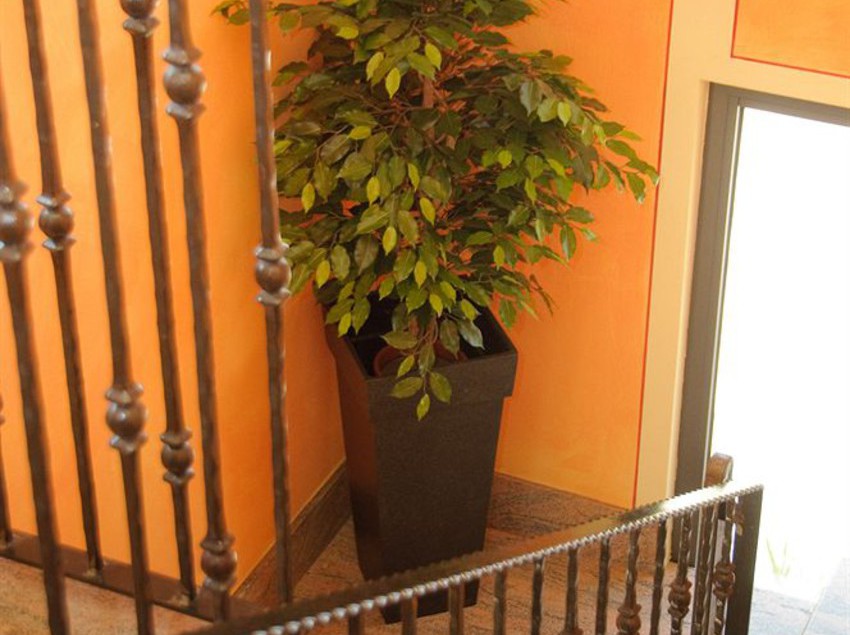 Villa Rosa  | Sirmione | Brescia | Italia 3