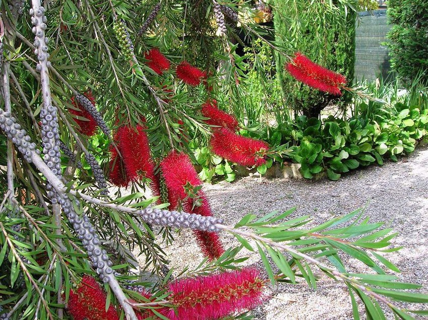 Villa Pagoda  | Sirmione | Brescia | Italia 4