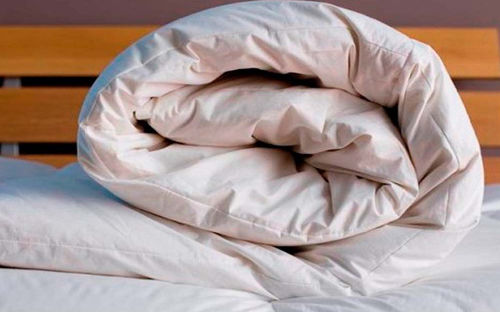 Alaska Club Residence  | Folgaria | Trento | Italie 20