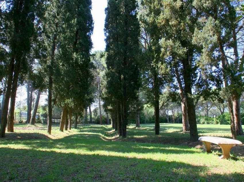 Razza Del Casalone  | Grosseto | Grosseto | Italia 1