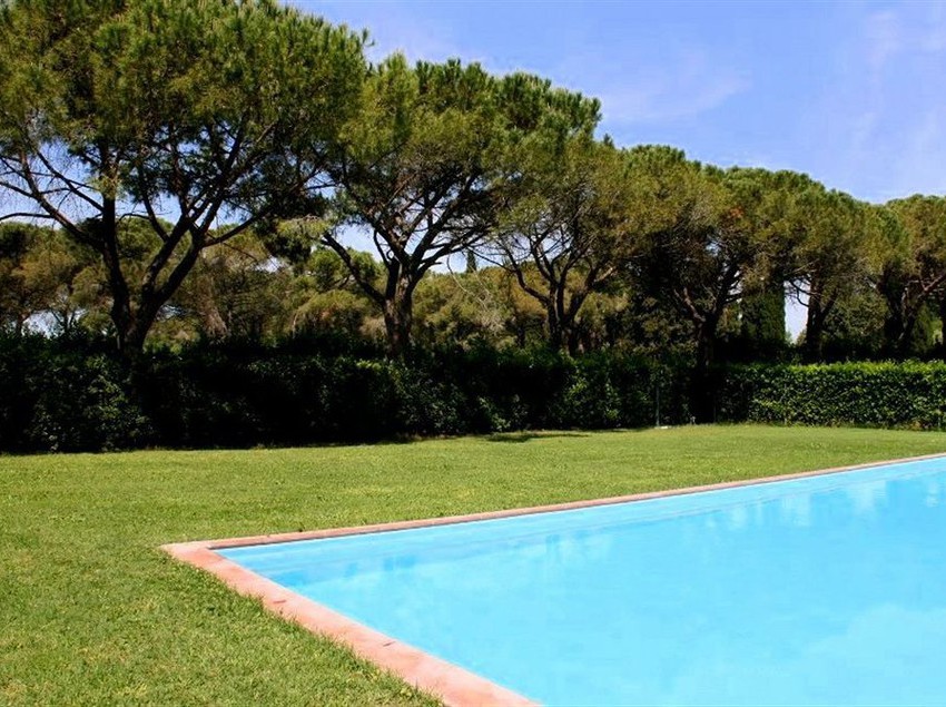 Razza Del Casalone  | Grosseto | Grosseto | Italia 2