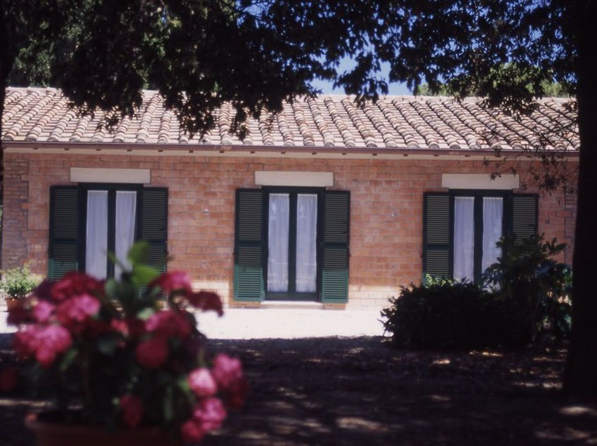 Razza Del Casalone  | Grosseto | Grosseto | Italia 3