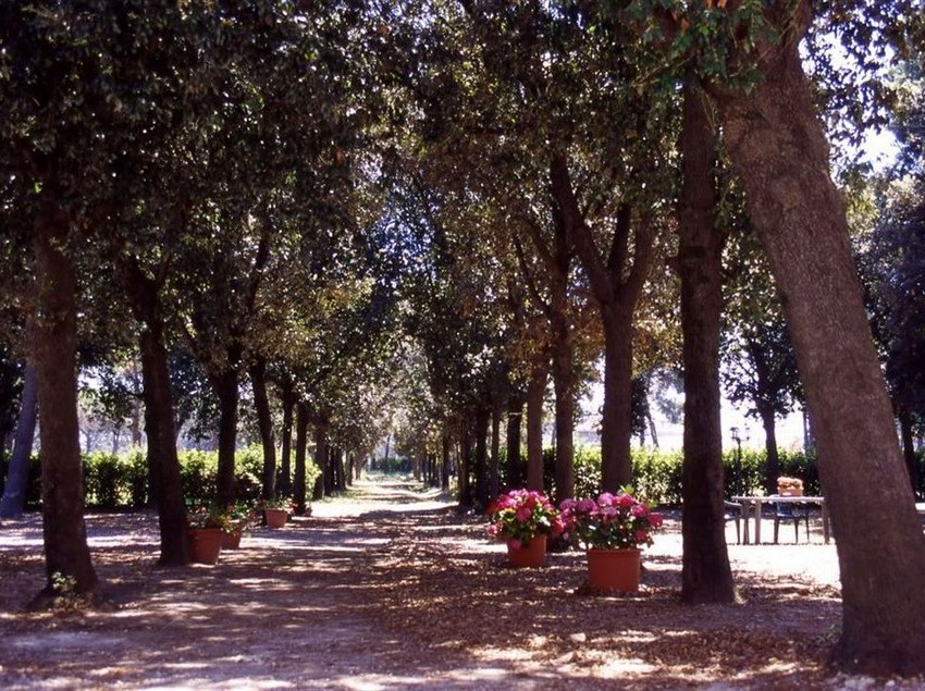 Razza Del Casalone  | Grosseto | Grosseto | Italia 5