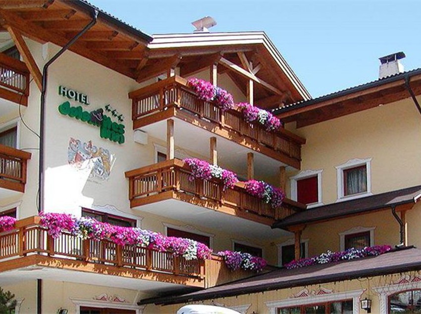 Hotel Dolomites Inn  | Canazei | Trento | Italia 2