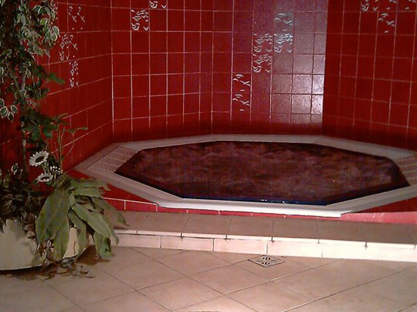 Hotel Dolomites Inn  | Canazei | Trento | Italia 3