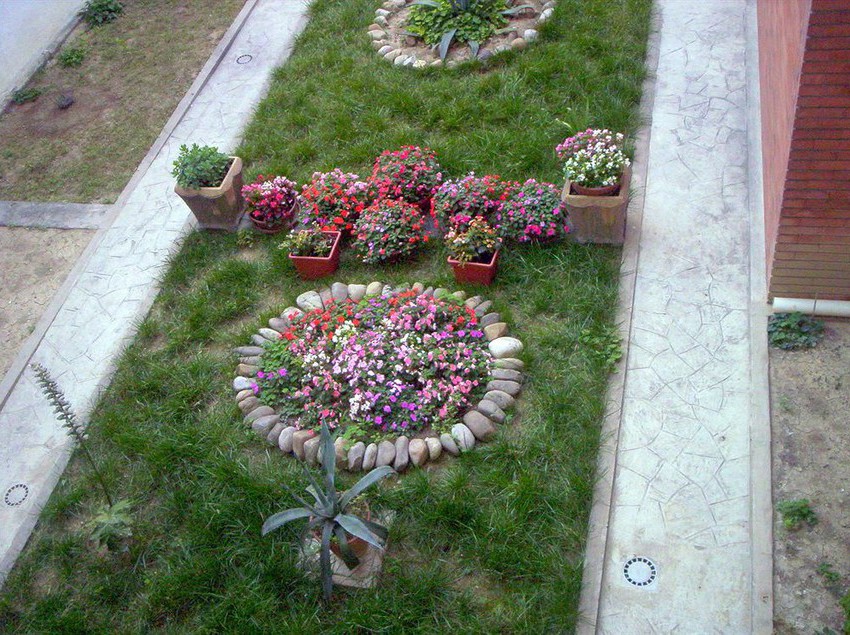 Hotel Ideale Bolonia