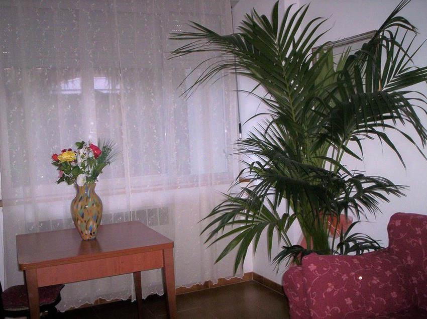 Hotel Ideale  | Bolonha | Bologna | Itália 4