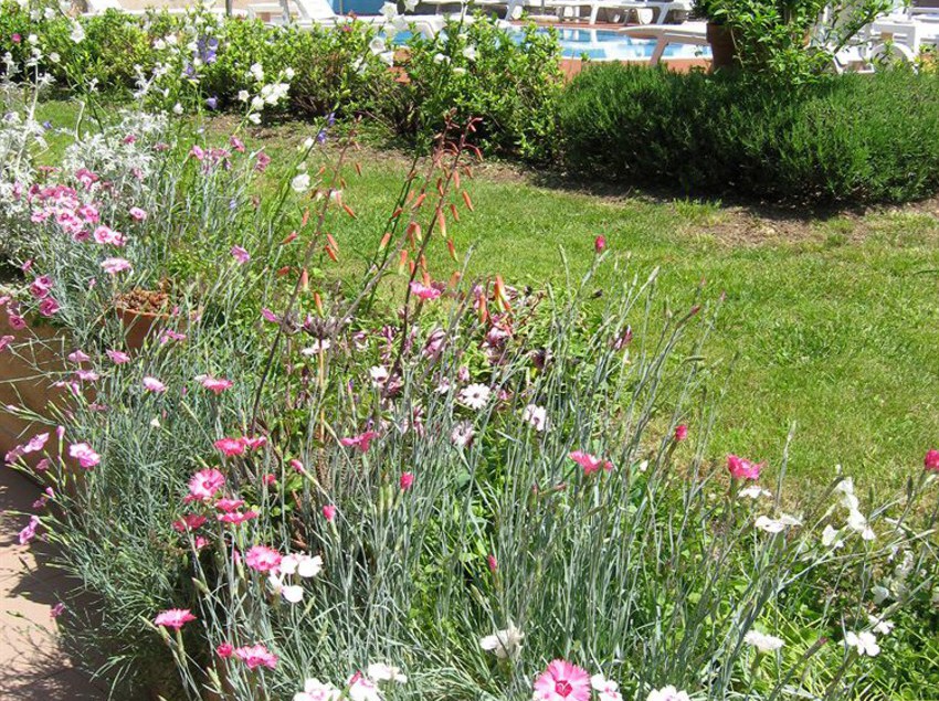 Casa Popi  | Malcesine | Verona | Italy 1