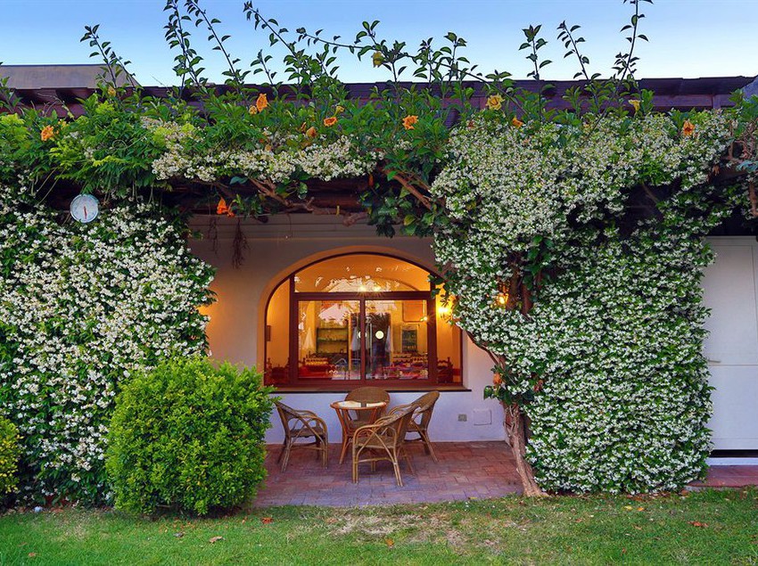 Hotel Terme San Nicola  | Forio d'Ischia | Napoli | Italia 6