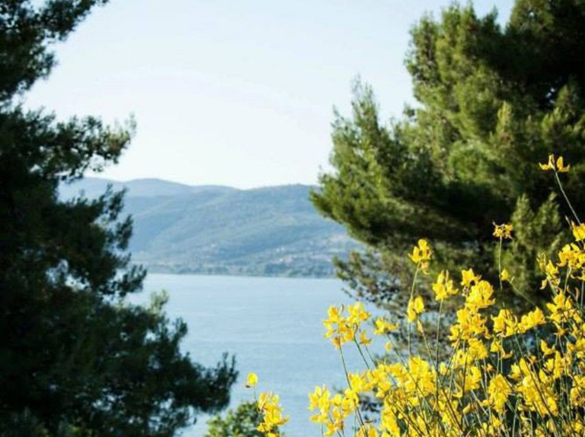 Hotel Cerquestra  | Magione | Perugia | Italy 11