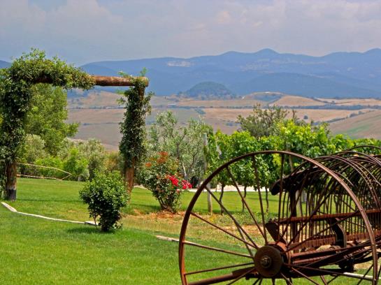 Hotel Fattoria Poggio Nebbia - Tarquinia  | Tarquinia | Viterbo | Italien 3