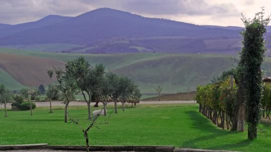 Hotel Fattoria Poggio Nebbia - Tarquinia  | Tarquinia | Viterbo | Italien 5