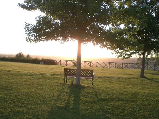 Hotel Fattoria Poggio Nebbia - Tarquinia  | Tarquinia | Viterbo | Italien 8