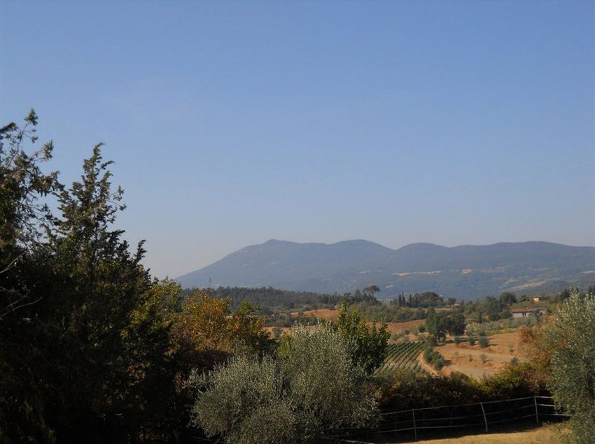 Hotel Badiola E Caio Alto  | Chiusi | Siena | Italia 5