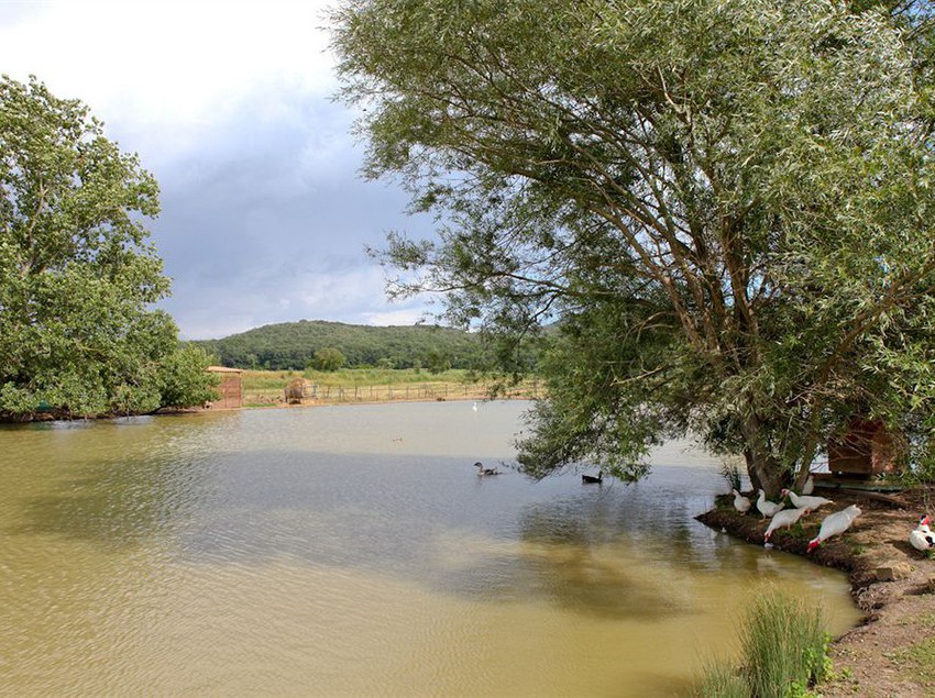 Agriturismo Da Lorena  | Manciano | Grosseto | Italia 11