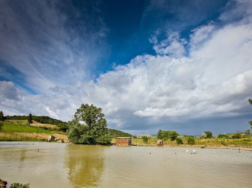 Agriturismo Da Lorena  | Manciano | Grosseto | Italia 19