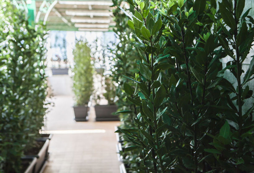 Hotel Ercolano  | Ercolano | Napoli | Italia 12