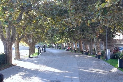 B&b Raggio Di Sole  | Trevignano Romano | Roma | Italia 16