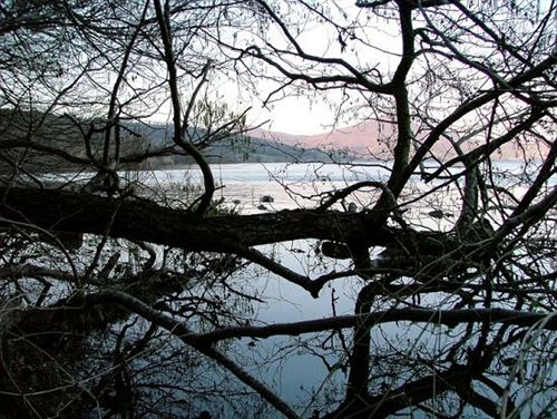 B&b Raggio Di Sole  | Trevignano Romano | Roma | Italia 18