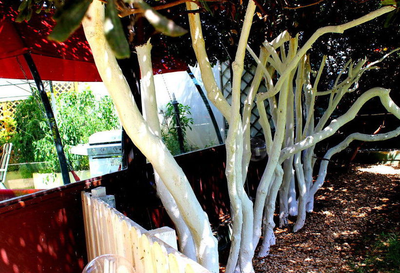 Bed and Breakfast Vento Di Sabbia  | Cagliari | Sardegna | Italia 11