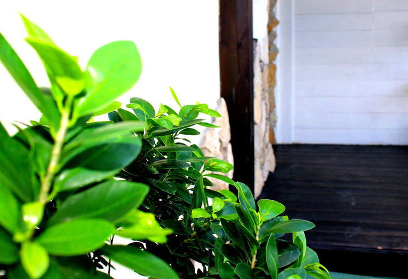 Bed and Breakfast Vento Di Sabbia  | Cagliari | Sardegna | Italia 14