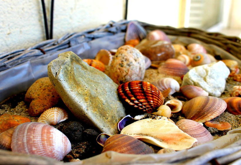 Bed and Breakfast Vento Di Sabbia  | Cagliari | Sardegna | Italia 16