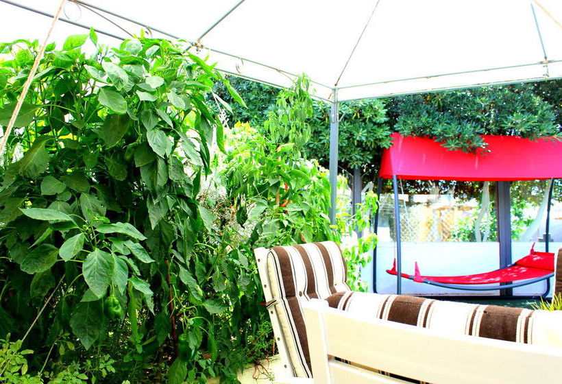 Bed and Breakfast Vento Di Sabbia  | Cagliari | Sardegna | Italia 7