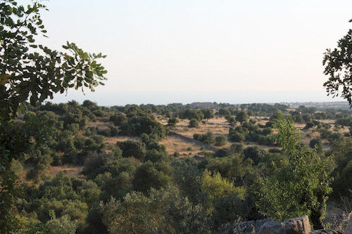 Bed and Breakfast Tenuta Zannafondo  | Ragusa | Ragusa | Italia 12