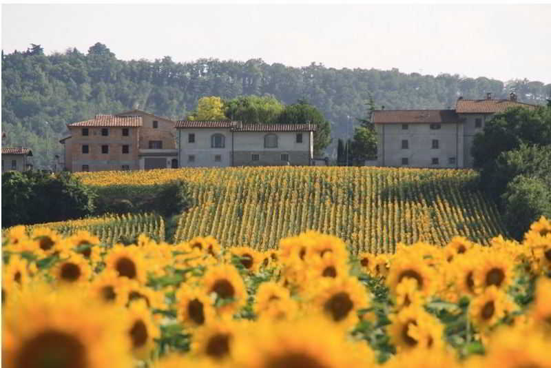 Podere Casenove Agriturismo  | Citerna | Perugia | Itália 5