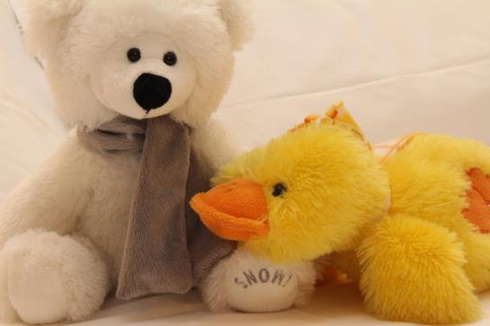 Hotel Principe Eugenio  | Roma | Roma | Italia 10