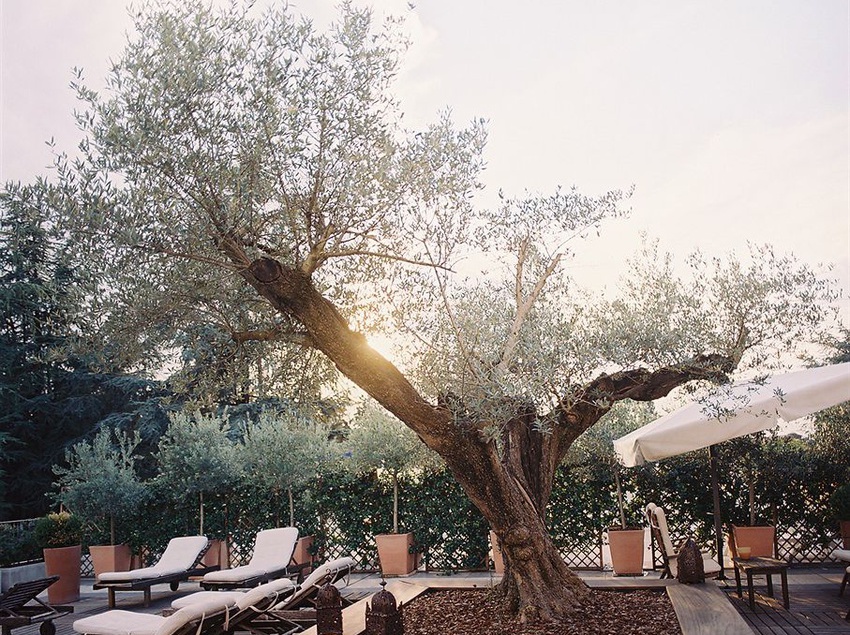 Hotel Delle Terme  | Montechiarugolo | Parma | Italia 4