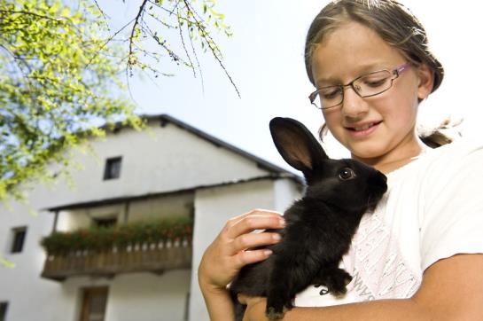 Panorama Hotel Huberhof  | Rio di Pusteria | Bolzano | Italia 7