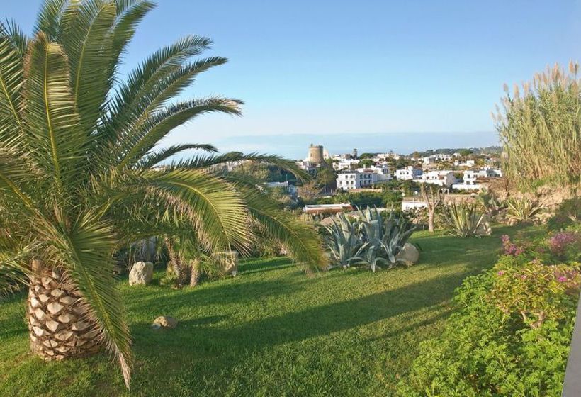 Hotel Albatros  | Forio d'Ischia | Napoli | Italia 15