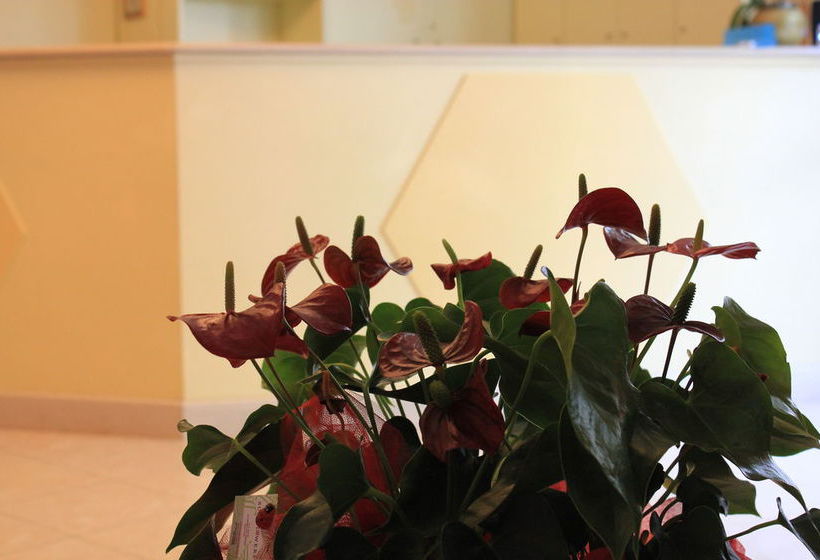 Hotel Holiday House Il Gabbiano  | La Spezia | La Spezia | Italien 14