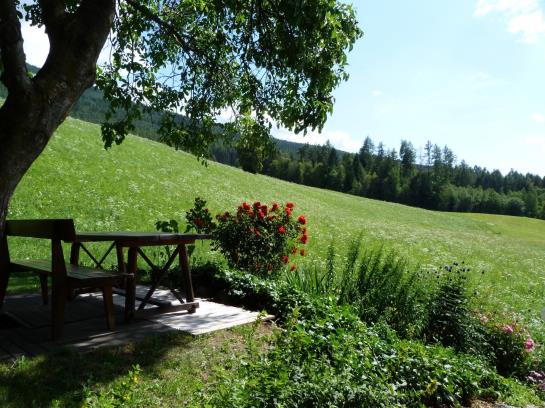 Hotel Summererhof  | Bressanone | Bolzano | Italia 6