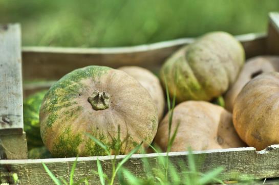 Hotel Borgo Alveria  | Noto | Siracusa | Italia 17