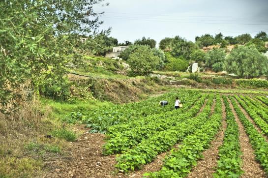 Hotel Borgo Alveria  | Noto | Siracusa | Italia 18