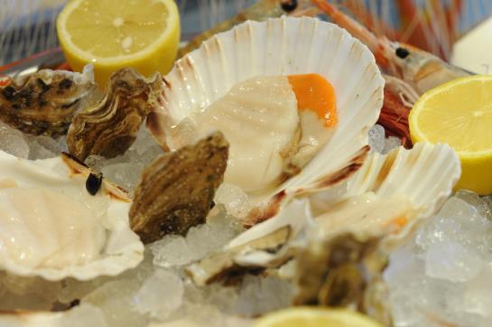 Hotel Bastia  | Valeggio sul Mincio | Verona | Italia 2