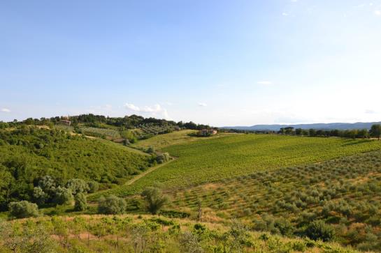 Villa Gloria  | Sienne | Siena | Italie 1