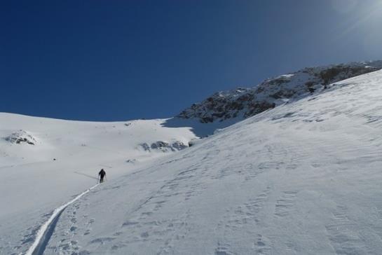 Bauernhof Bio-reiterhof  | Silandro | Bolzano | Italia 1