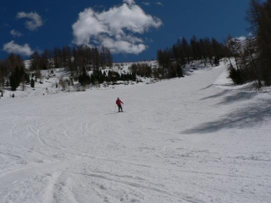 Bauernhof Bio-reiterhof  | Silandro | Bolzano | Italia 11