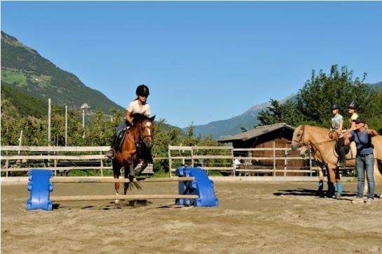 Bauernhof Bio-reiterhof  | Silandro | Bolzano | Italia 15