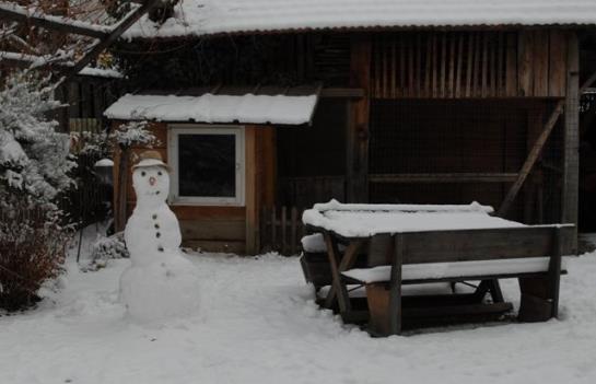 Bauernhof Bio-reiterhof  | Silandro | Bolzano | Italia 17