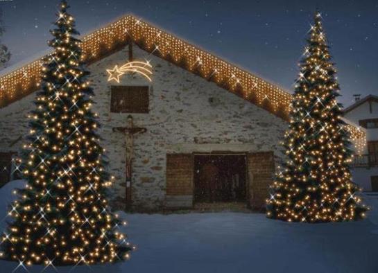 Bauernhof Bio-reiterhof  | Silandro | Bolzano | Italia 19