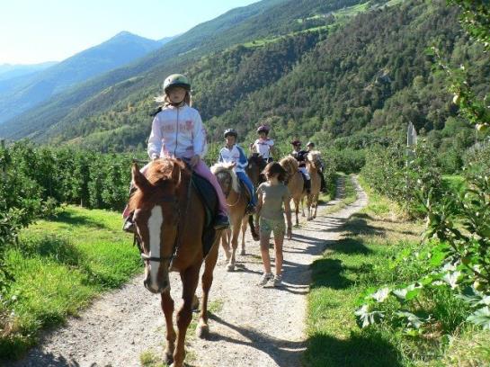 Bauernhof Bio-reiterhof  | Silandro | Bolzano | Italia 5