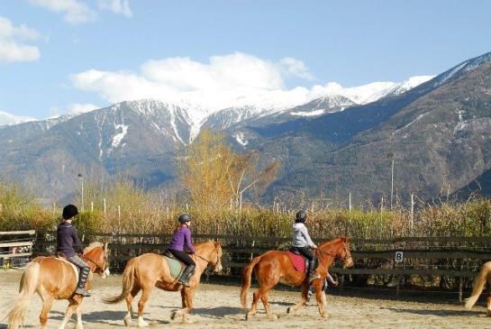 Bauernhof Bio-reiterhof  | Silandro | Bolzano | Italia 7